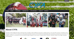 Desktop Screenshot of cyfa.org